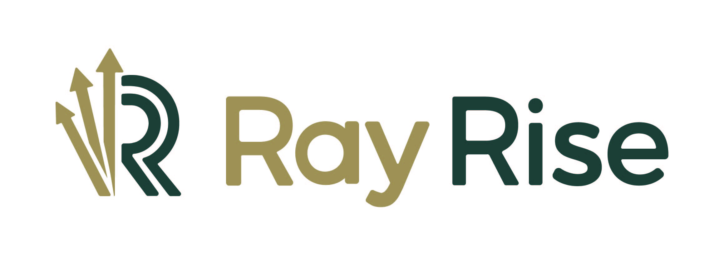 株式会社レイライズ