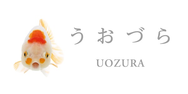 うおづら