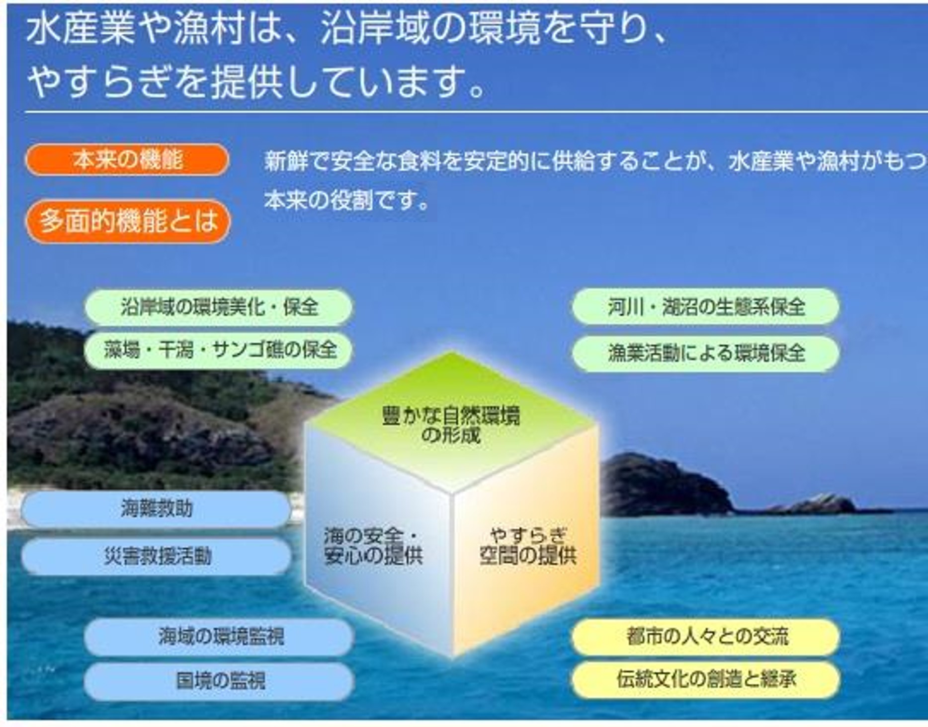 多面的機能の解説