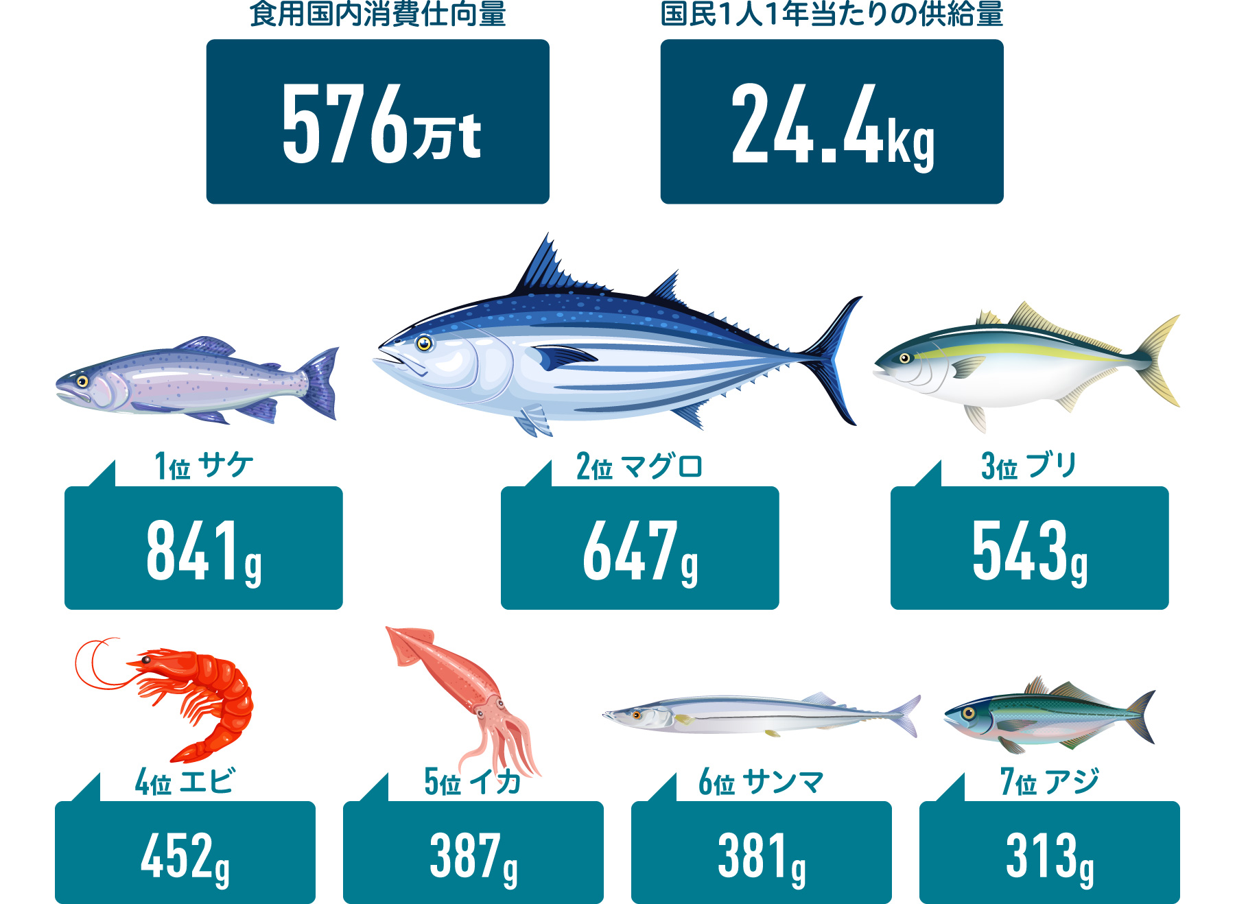 日本人がよく食べている魚は？の図。食用国内消費仕向量：576万t 国民1人1年当たりの供給量：24.4kg 1位：サケ、841g 2位：マグロ、647g 3位：ブリ、543g 4位：エビ、452g 5位：イカ、387g 6位：サンマ、381g 7位：アジ、313g