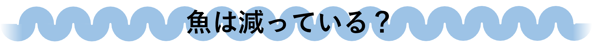 魚は減っている？