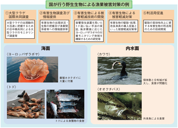 図3-1-12 国が行う野生生物による漁業被害対策の例