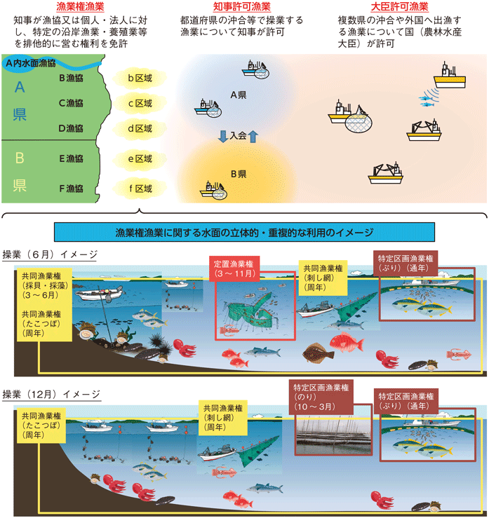 図3-1-5 漁業権制度及び漁業許可制度の概念図