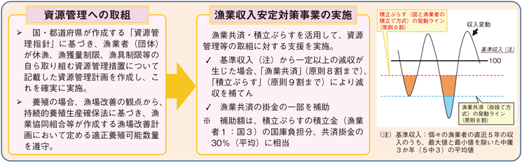 図3-1-6 資源管理・収入安定対策の概要