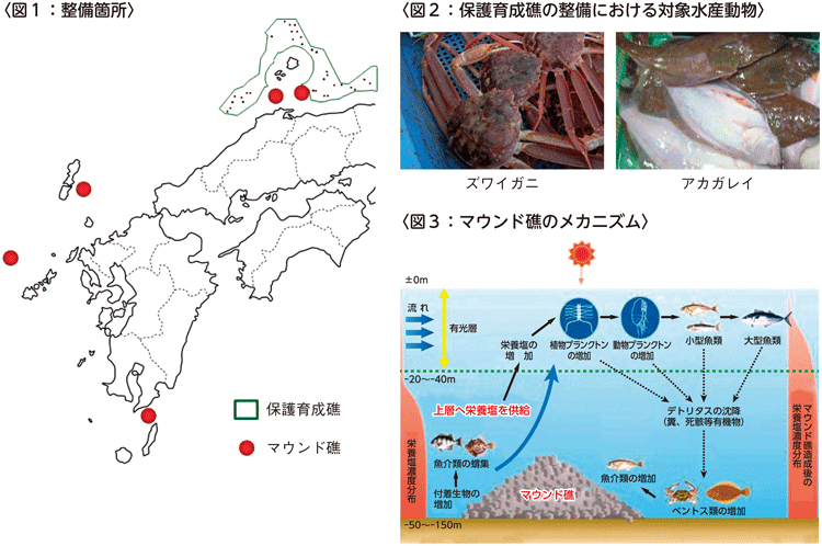 図3-1-9 国のフロンティア漁場整備事業の概要