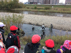 遡上観察の写真