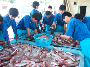 市場作業の実習の様子の写真