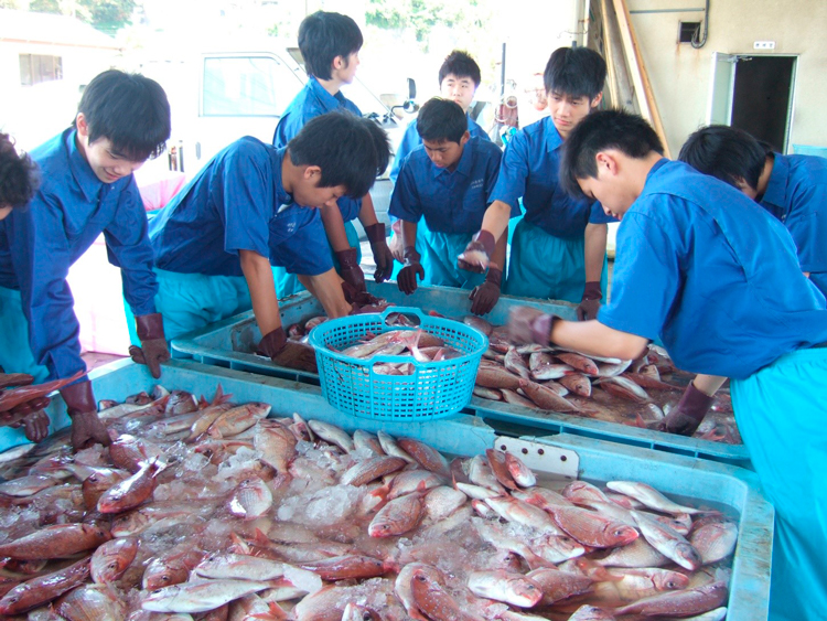 市場作業の実習の様子の写真