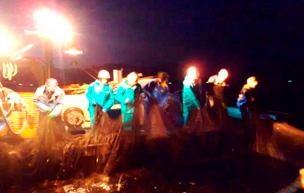 ホタルイカ定置網実習の写真