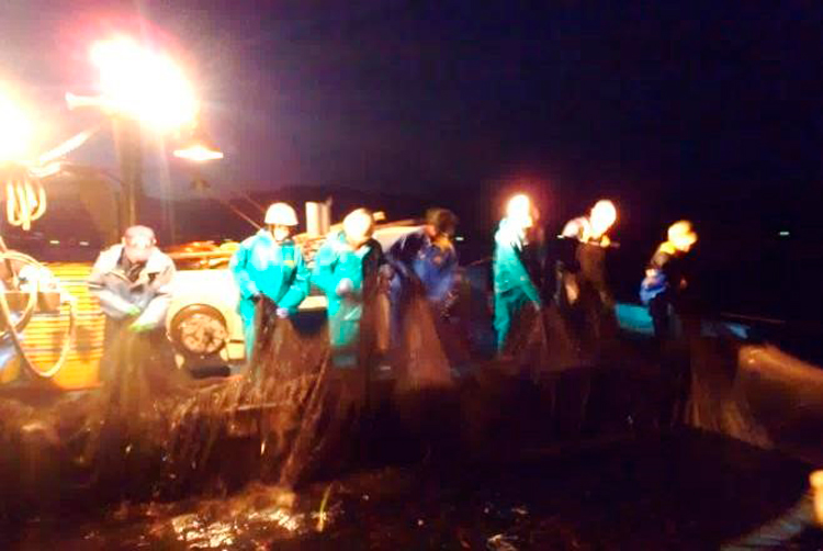 ホタルイカ定置網実習の写真