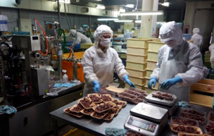 食品製造業におけるインターンシップの写真