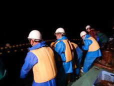 通定置株式会社における定置網漁業就業体験の写真1