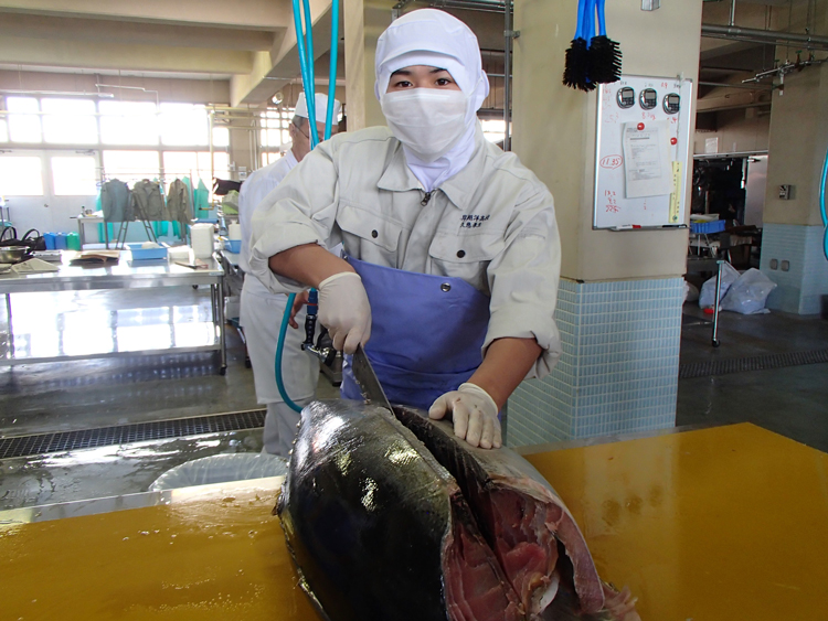 マグロ解体の様子の写真