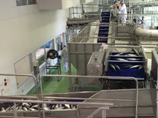 八戸市第三魚市場A棟の写真