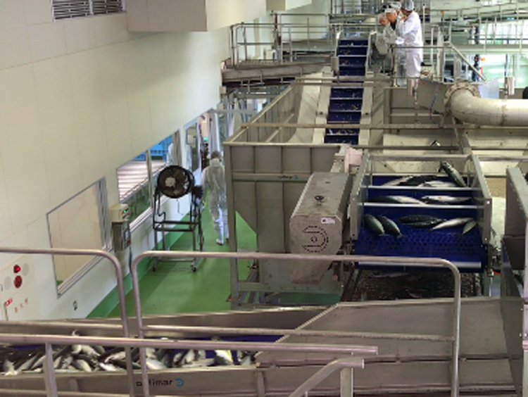 八戸市第三魚市場A棟の写真