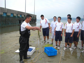 アマモ場造成プロジェクトの写真