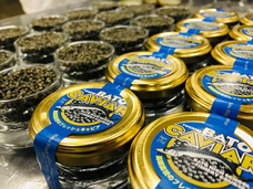 馬頭高校で生産している「フレッシュキャビア」の写真