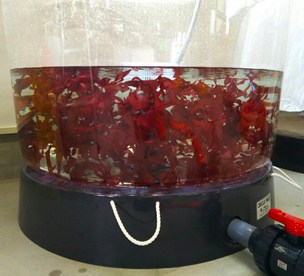 漁業現場体験の写真