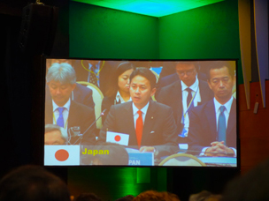 IWC第67回総会で我が国の立場を説明する谷合農林水産副大臣(当時)の写真