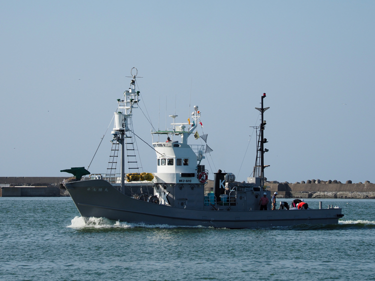 IWC管轄外のツチクジラ等を我が国沿岸で捕獲している小型捕鯨船