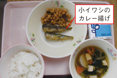 イワシを活用した学校給食の写真