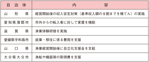 表2-2-1 地方自冶体による支援の例
