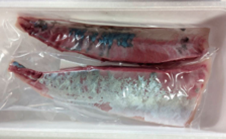 消費者に届くロイン加工されたカンパチ