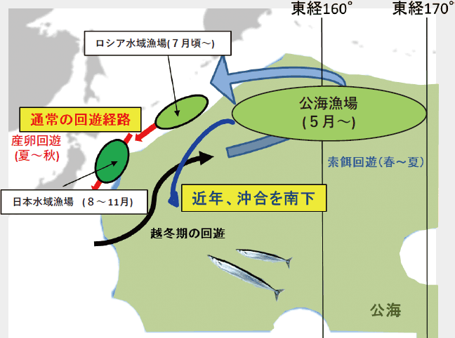 サンマの回遊と漁場形成の概念図