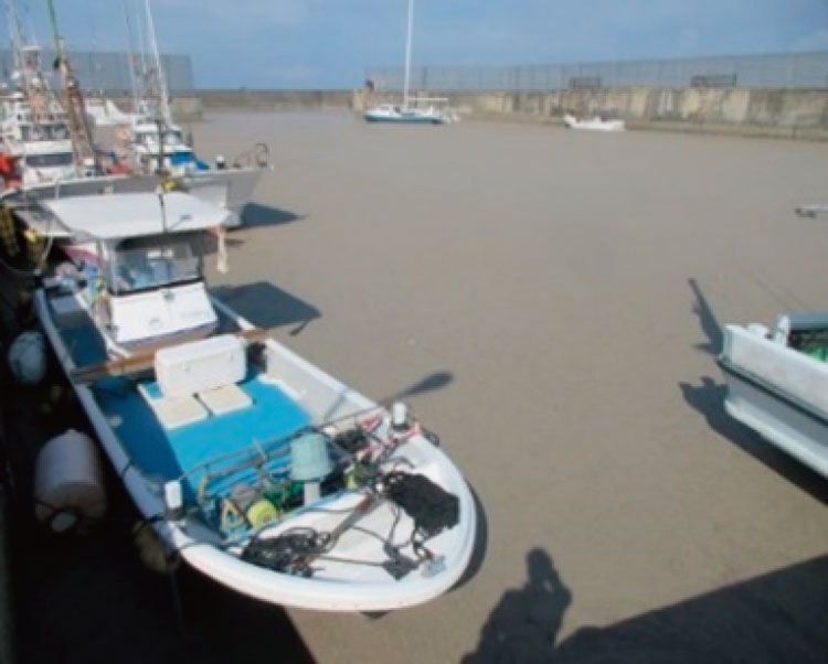 軽石除去作業前の港内