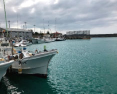 軽石除去作業後の港内