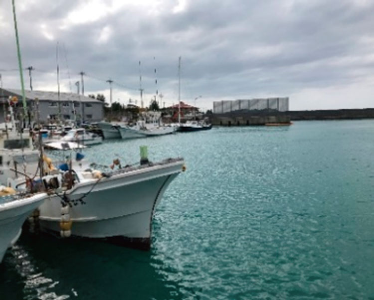 軽石除去作業後の港内