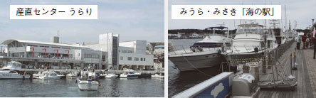 三崎（みさき）漁港（神奈川県三浦市）