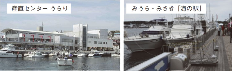 三崎（みさき）漁港（神奈川県三浦市）