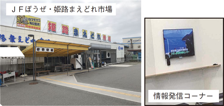 妻鹿（めが）漁港（兵庫県姫路（ひめじ）市）