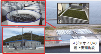 走（はしり）漁港（広島県福山（ふくやま）市(走島（はしりじま）)）