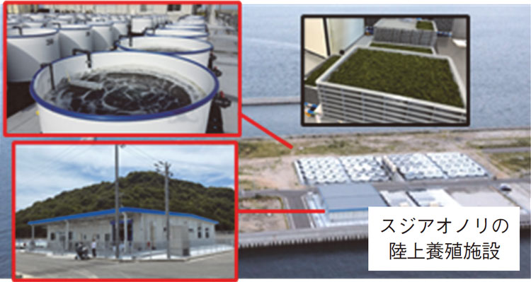 走（はしり）漁港（広島県福山（ふくやま）市(走島（はしりじま）)）