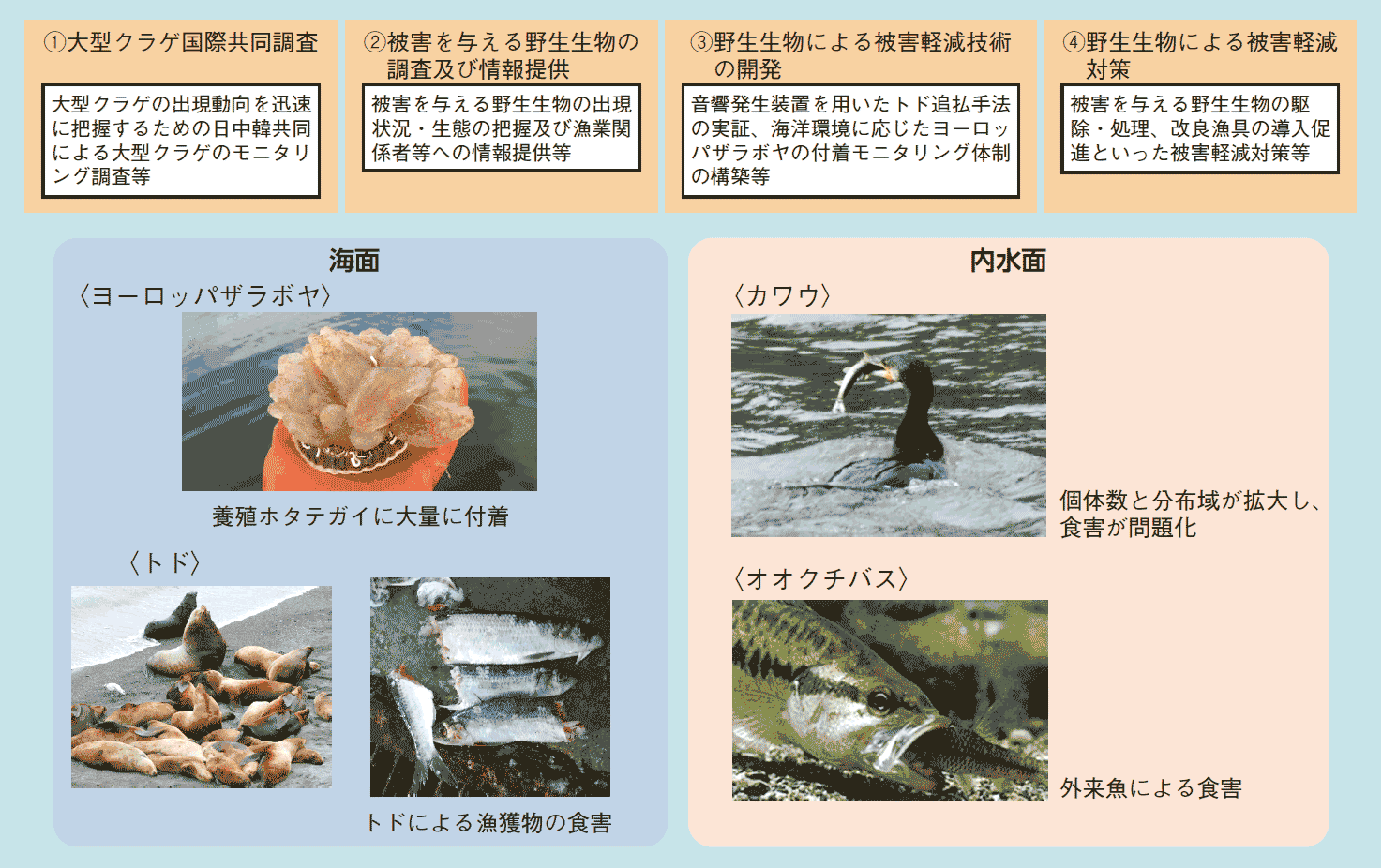 図表3-25 野生生物による漁業被害対策の例