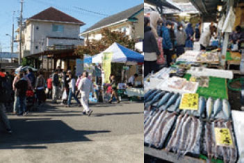 日曜朝市の賑わいの様子