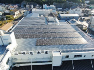 株式会社三崎恵水産社屋屋上の太陽光パネル