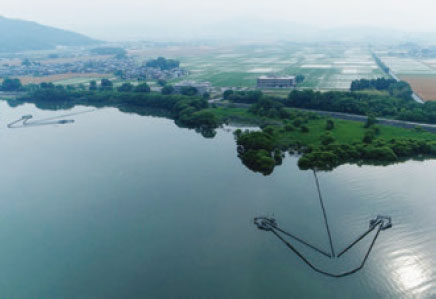 上空から見たエリ