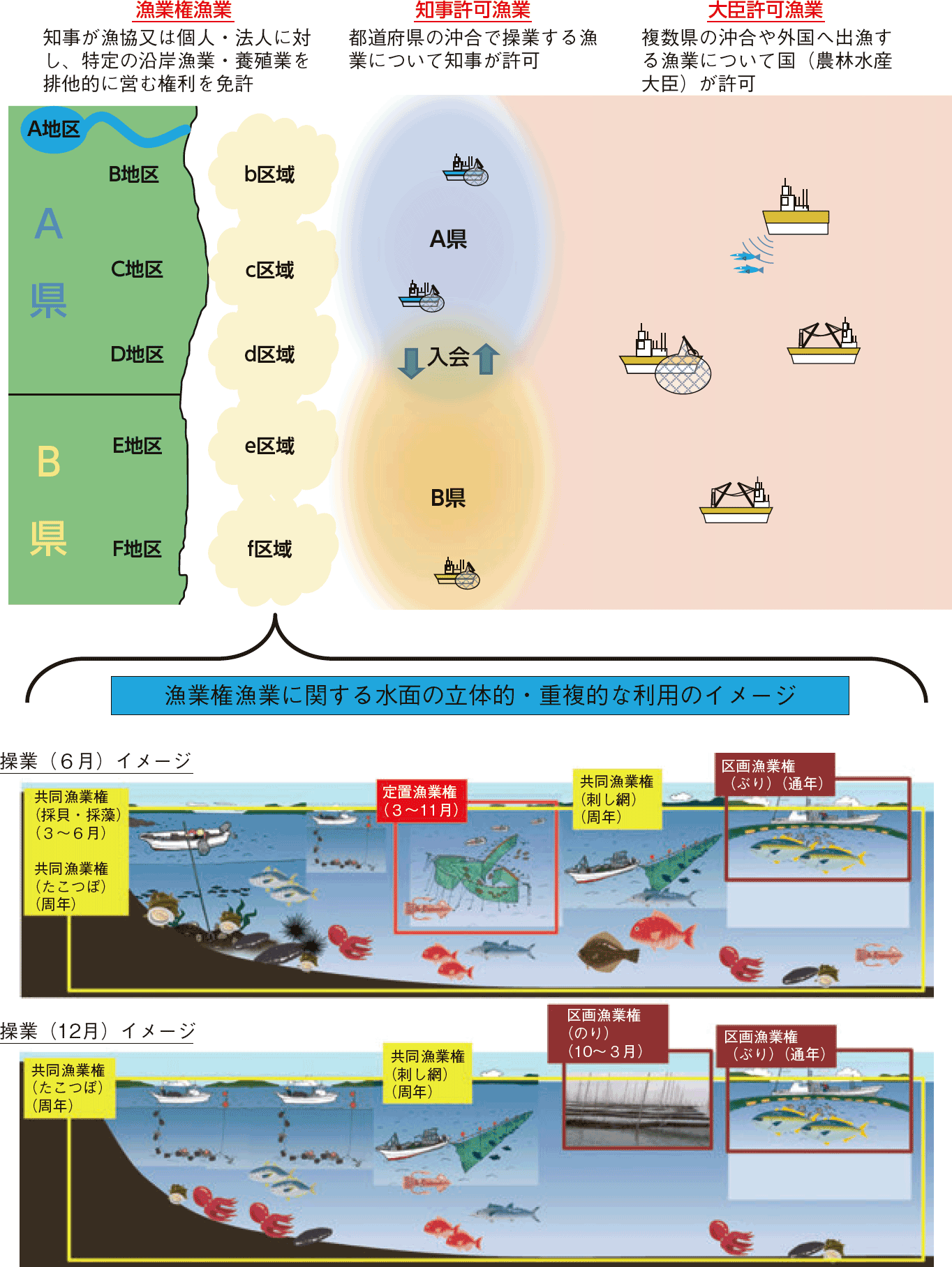 図表3-6 漁業権制度及び漁業許可制度の概念図