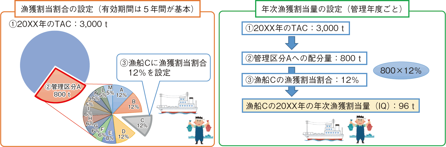 図表3-10 IQ管理の導入のイメージ
