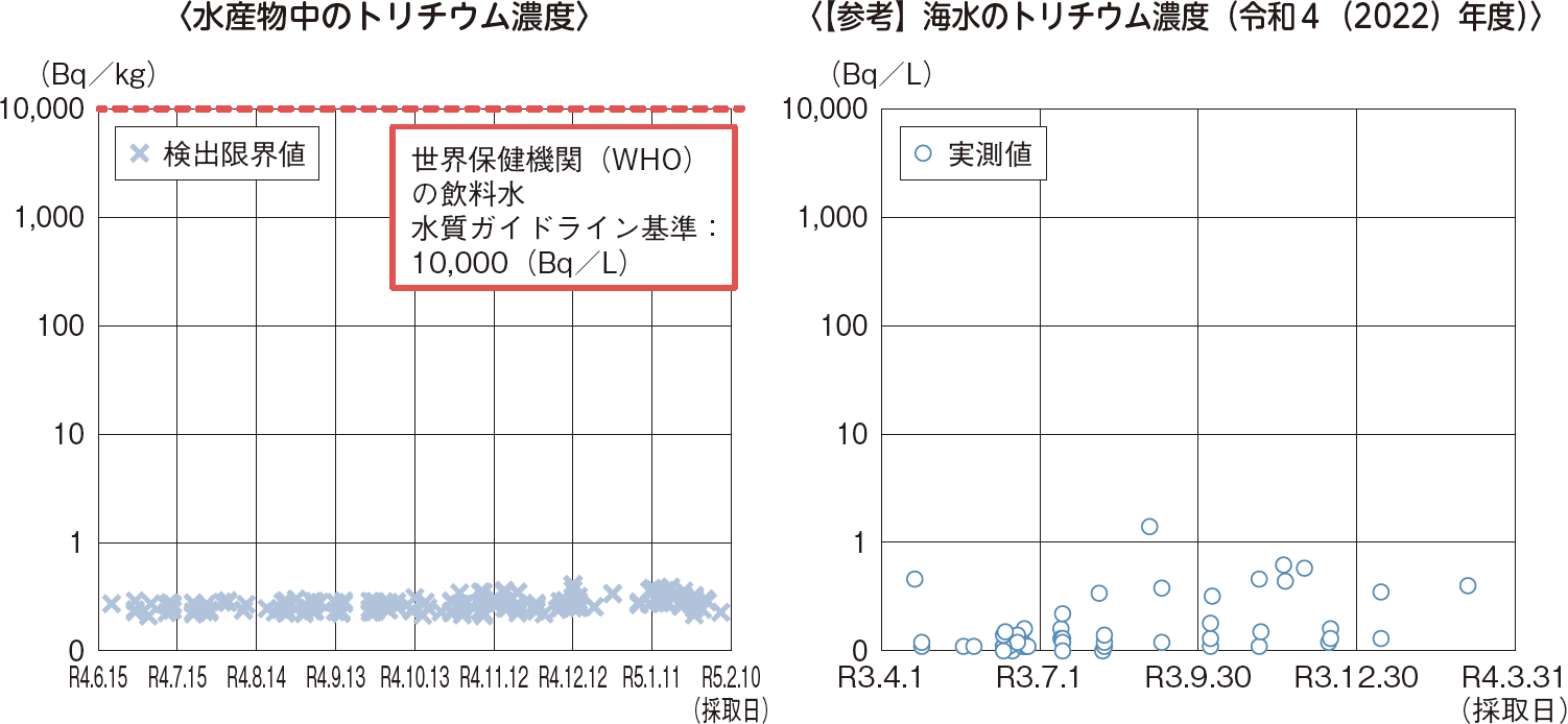 図表6-6 水産物の放射性物質モニタリング結果（トリチウム）