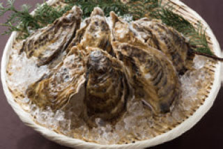 豊前海一粒かき