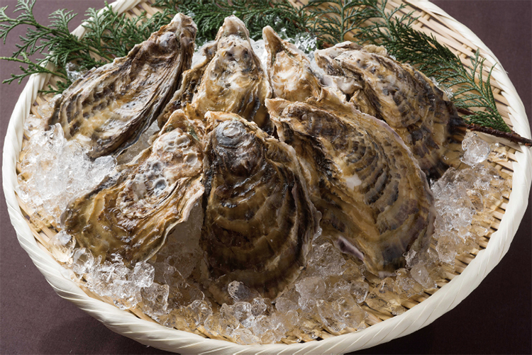 豊前海一粒かき