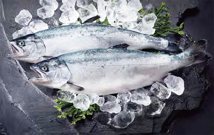 みやぎサーモン