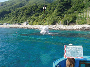 藻場の造成の様子