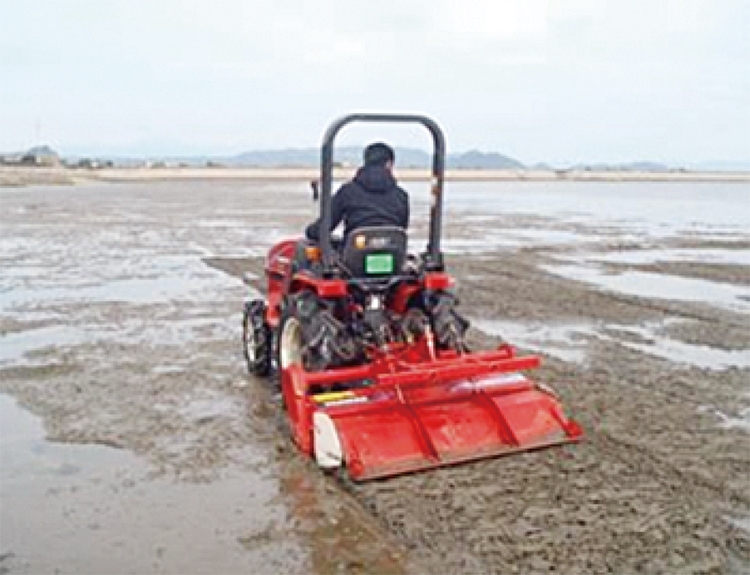 干潟等の保全（干潟の耕うん）