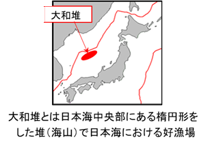 大和堆とは日本海中央部にある楕円形をした堆（海山）で日本海における好漁場