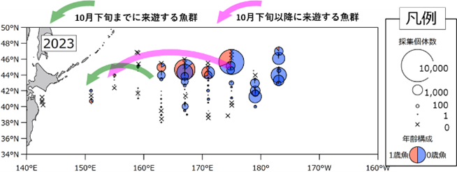 サンマ分布図